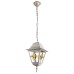 Уличный подвесной светильник Berlin A1015SO-1WG Arte Lamp