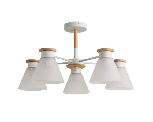 Потолочная люстра Tyler A1031PL-5WH Arte Lamp