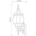 Настенный фонарь уличный Atlanta A1041AL-1BG Arte Lamp