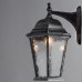 Настенный фонарь уличный Genova A1202AL-1BS Arte Lamp