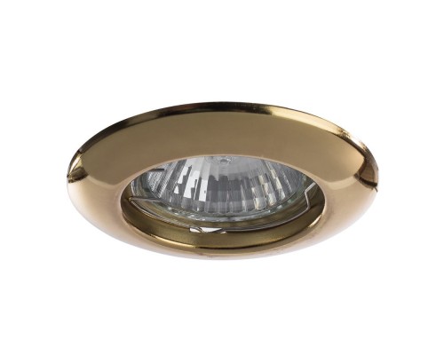 Точечный светильник Praktisch A1203PL-1GO Arte Lamp