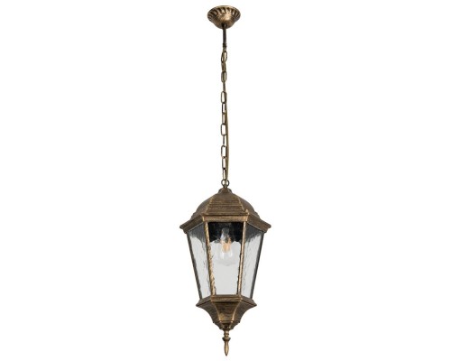 Уличный подвесной светильник Genova A1204SO-1BN Arte Lamp