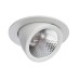 Точечный светильник Cardani A1212PL-1WH Arte Lamp