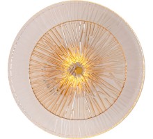 Настенный светильник Ajour A1259AP-1PB Arte Lamp