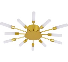 Потолочная люстра Maple A1276PL-12GO Arte Lamp