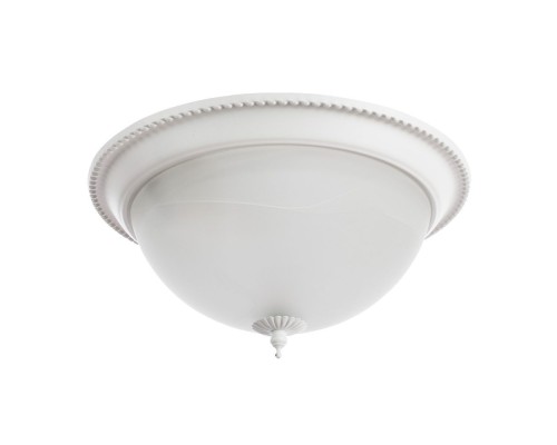 Потолочный светильник Porch A1305PL-2WH Arte Lamp