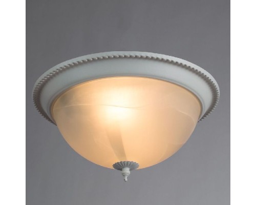 Потолочный светильник Porch A1305PL-2WH Arte Lamp