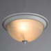 Потолочный светильник Porch A1305PL-2WH Arte Lamp