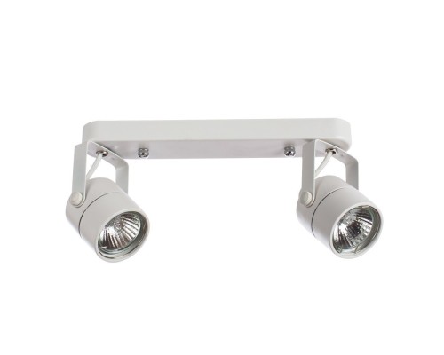 Спот Lente A1310PL-2WH Arte Lamp