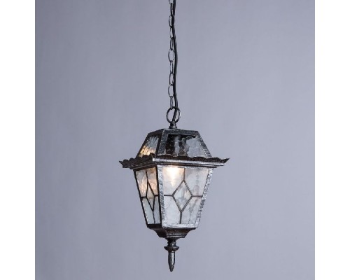Уличный подвесной светильник Paris A1355SO-1BS Arte Lamp