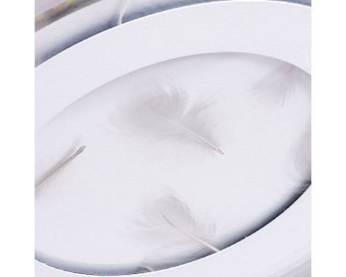 Потолочный светильник Multi-piuma A1397PL-1CL Arte Lamp