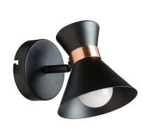 Спот Baltimore A1406AP-1BK Arte Lamp