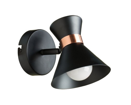 Спот Baltimore A1406AP-1BK Arte Lamp