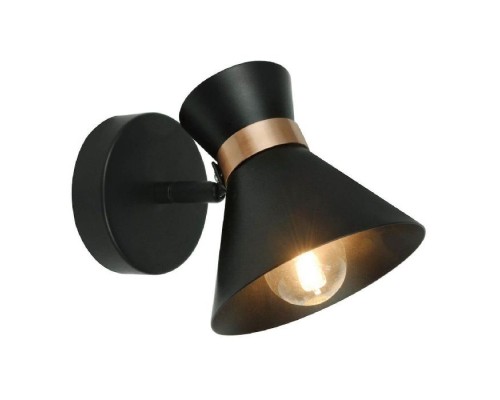 Спот Baltimore A1406AP-1BK Arte Lamp