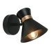 Спот Baltimore A1406AP-1BK Arte Lamp