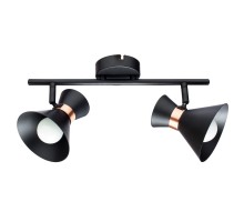 Спот Baltimore A1406AP-2BK Arte Lamp