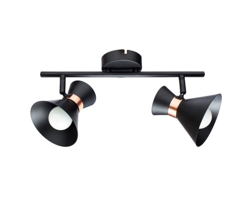 Спот Baltimore A1406AP-2BK Arte Lamp