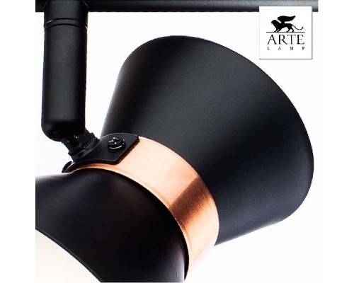 Спот Baltimore A1406AP-2BK Arte Lamp