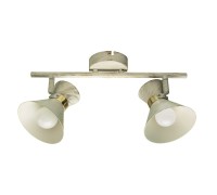 Спот Baltimore A1406AP-2WG Arte Lamp