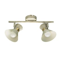 Спот Baltimore A1406AP-2WG Arte Lamp