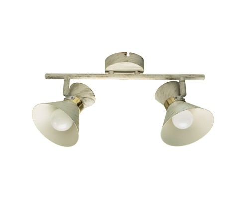 Спот Baltimore A1406AP-2WG Arte Lamp