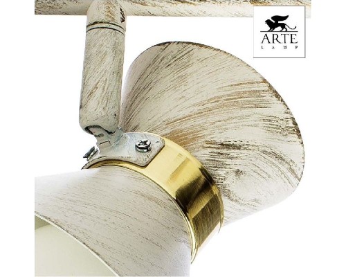 Спот Baltimore A1406AP-2WG Arte Lamp