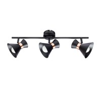 Спот Baltimore A1406PL-3BK Arte Lamp
