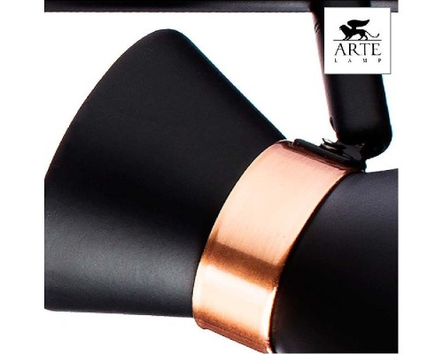 Спот Baltimore A1406PL-3BK Arte Lamp