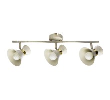 Спот Baltimore A1406PL-3WG Arte Lamp