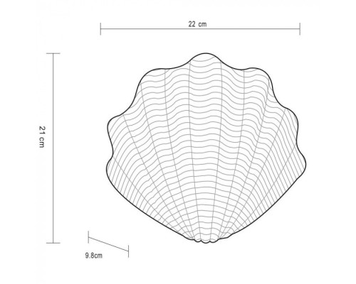 Настенный светильник Shell A1412AP-1SA Arte Lamp