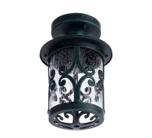 Потолочный светильник уличный Persia A1453PF-1BG Arte Lamp