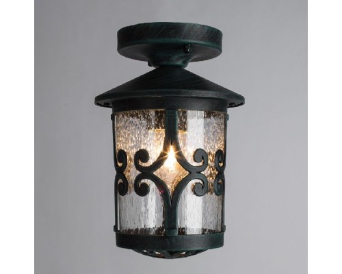 Потолочный светильник уличный Persia A1453PF-1BG Arte Lamp