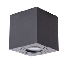 Потолочный светильник уличный Galopin A1461PL-1BK Arte Lamp