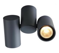 Спот Gavroche A1511PL-2GY Arte Lamp