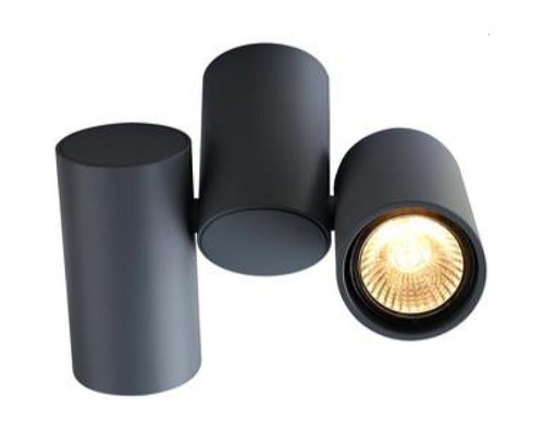 Спот Gavroche A1511PL-2GY Arte Lamp