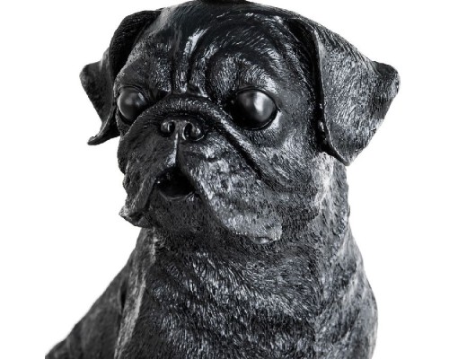 Настольная лампа Bobby A1512LT-1BK Arte Lamp