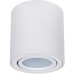 Точечный светильник Beid A1513PL-1WH Arte Lamp