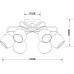 Потолочная люстра Miram A1521PL-6WH Arte Lamp