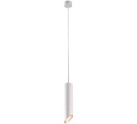 Подвесной светильник Pilon-silver A1536SP-1WH Arte Lamp