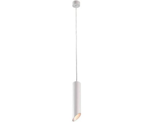 Подвесной светильник Pilon-silver A1536SP-1WH Arte Lamp