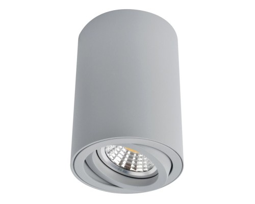 Точечный светильник Sentry A1560PL-1GY Arte Lamp