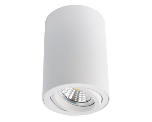 Точечный светильник Sentry A1560PL-1WH Arte Lamp