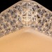 Потолочный светильник Celeste A1571PL-1CL Arte Lamp
