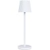 Уличная настольная лампа Fuyue A1616LT-1WH Arte Lamp