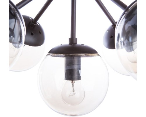 Потолочная люстра Bolla A1664PL-5BK Arte Lamp