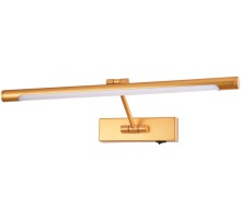 Подсветка для картин Harrison A1709AP-1GO Arte Lamp