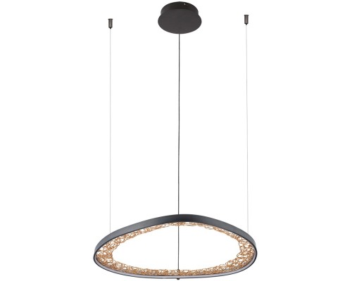 Подвесной светильник Cinta A1847SP-36BK Arte Lamp