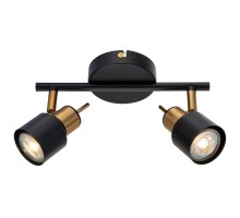 Спот Almach A1906PL-2BK Arte Lamp