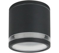 Потолочный светильник уличный Nunki A1910PF-1BK Arte Lamp