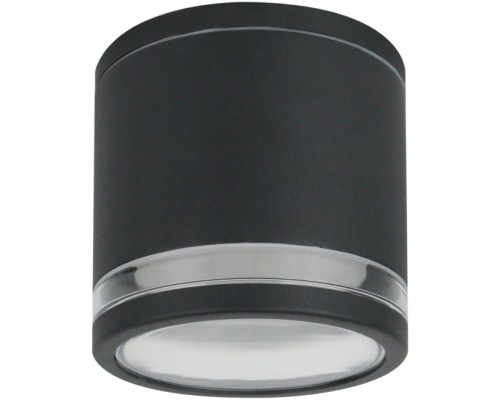 Потолочный светильник уличный Nunki A1910PF-1BK Arte Lamp